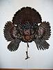 Turkey Taxidermy